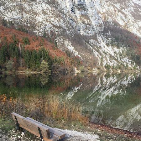 Pr'Mruzo Apartmaji Bohinji-tó Kültér fotó