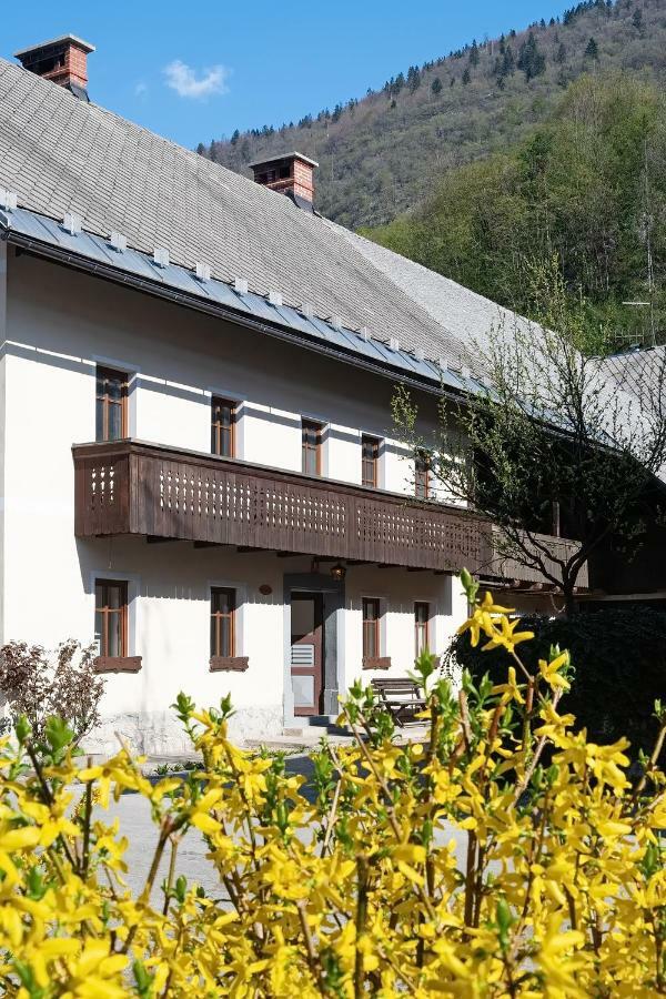 Pr'Mruzo Apartmaji Bohinji-tó Kültér fotó