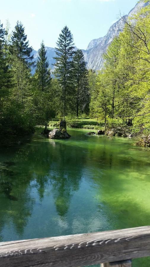 Pr'Mruzo Apartmaji Bohinji-tó Kültér fotó